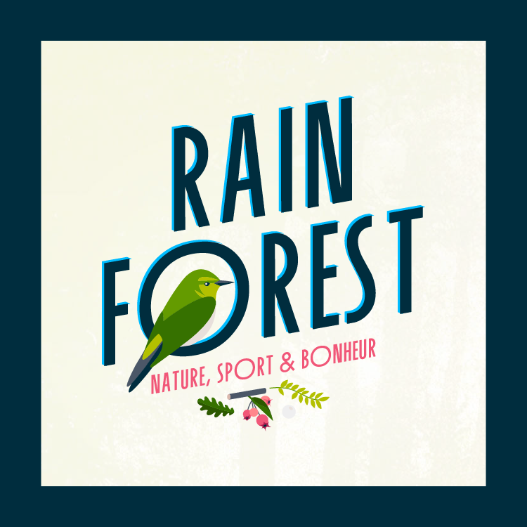 Rainforest, un festival sous les arbres