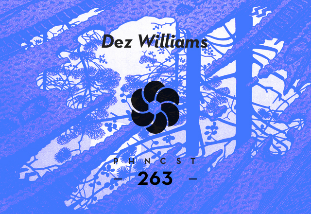 PHNCST263 – Dez Williams (Elektronik Religion)