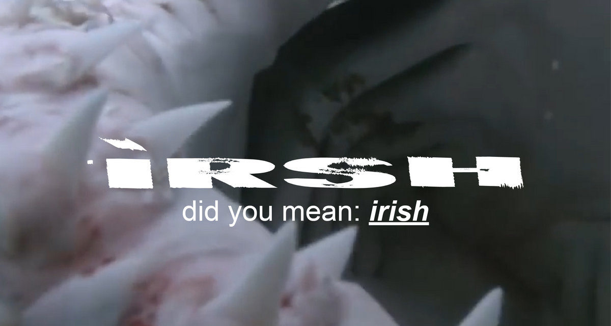 V/A – irsh, did you mean: irish