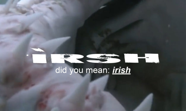 V/A – irsh, did you mean: irish