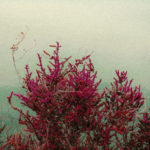 Première : Køemner – Belu Blue